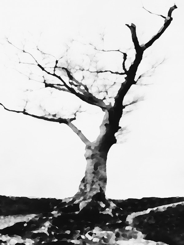 Watercolor Tree Black White