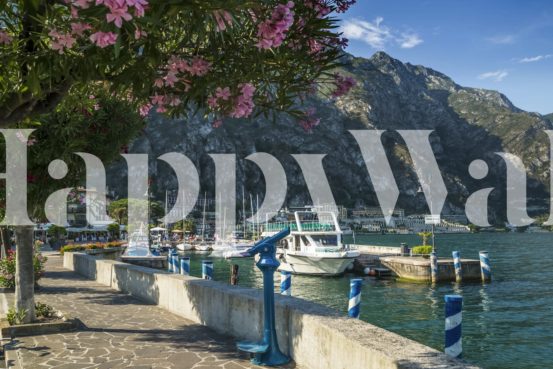 Harbour with blue boats and pink flowers wall mural