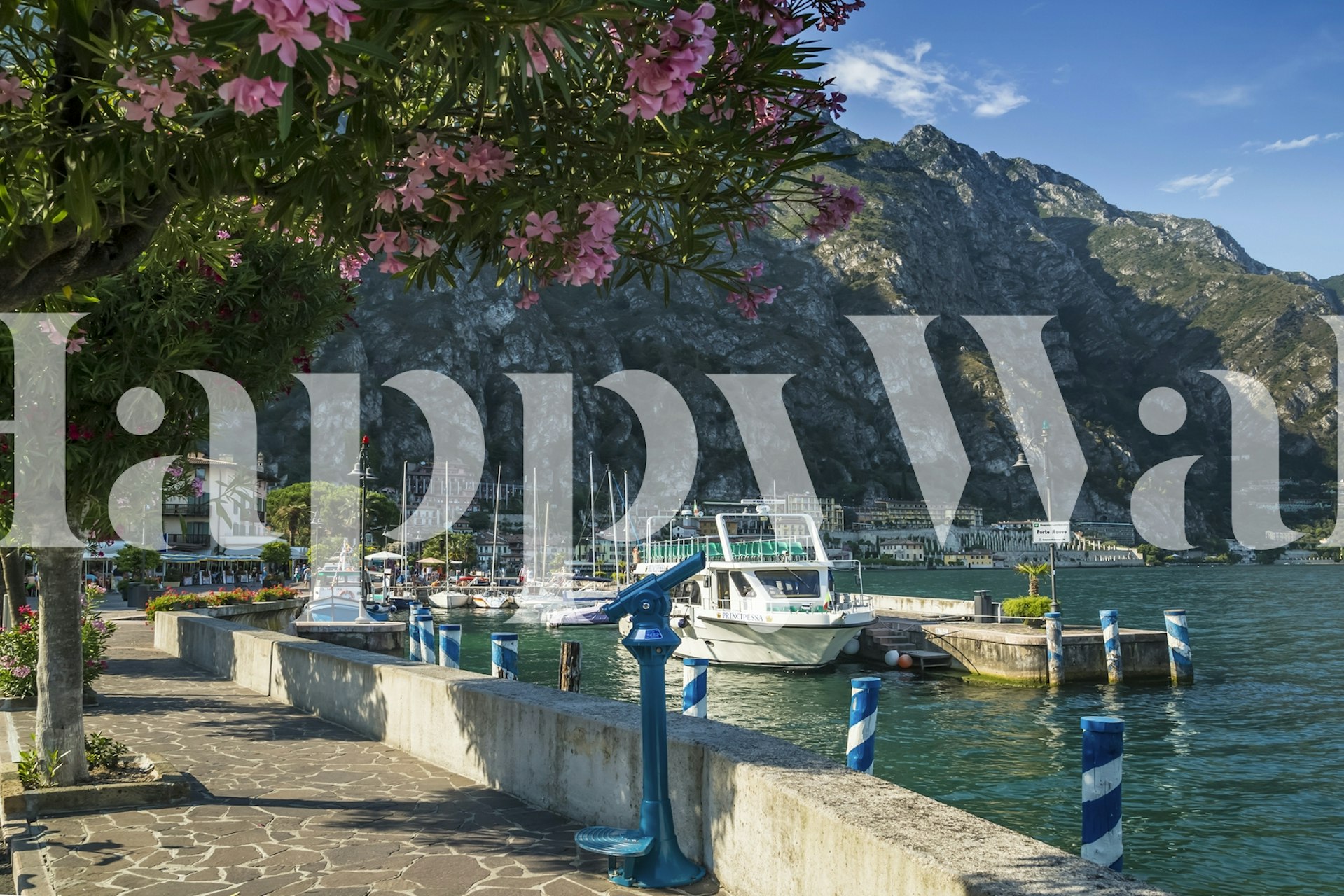 Harbour with blue boats and pink flowers wall mural