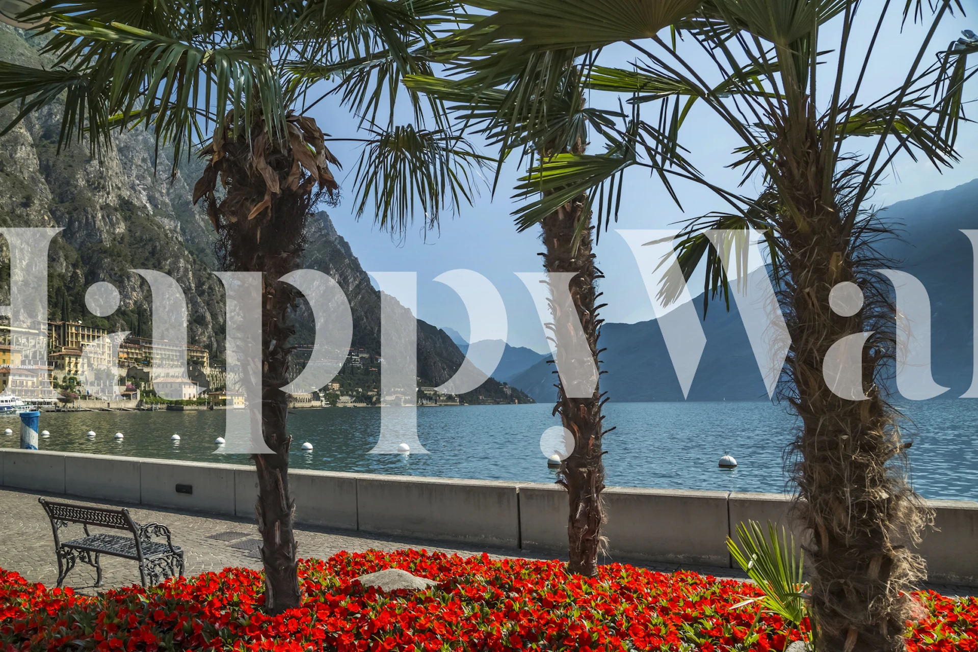 Limone sul Garda wallpaper in a room