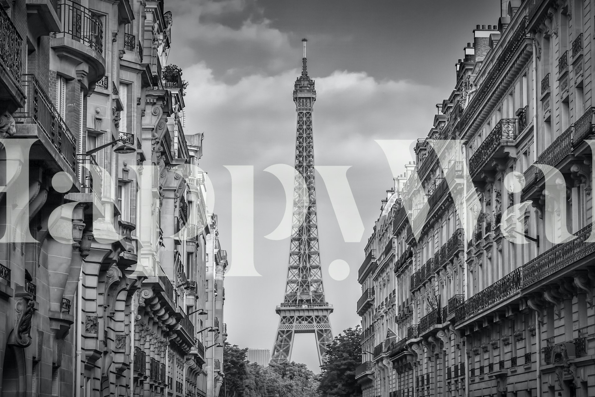 Black and white urban scene featuring the Eiffel Tower with Parisian architecture wallpaper