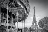 Typical Paris monochrome wallpaper