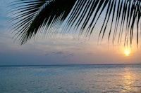 Caribbean Sunset Ocean Palm 1 papiers peint