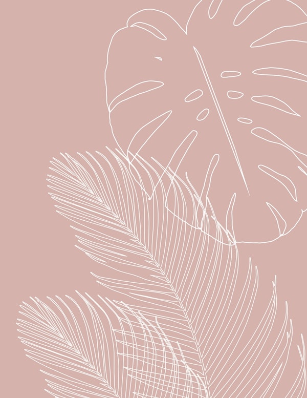 Monstera Palm Line Art 5