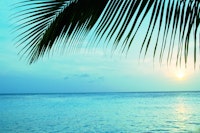 Caribbean Sunset Ocean Palm 2 papiers peint