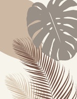 Minimal Monstera Palm 11 ταπετσαρία