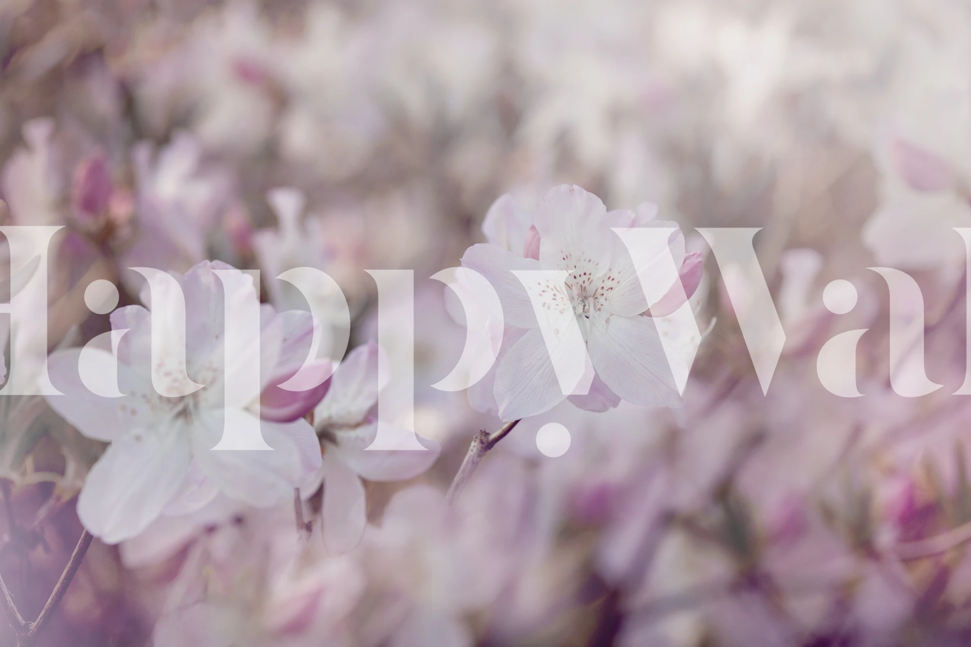 Tapeta Blooming Pink Spring Flower u sobi