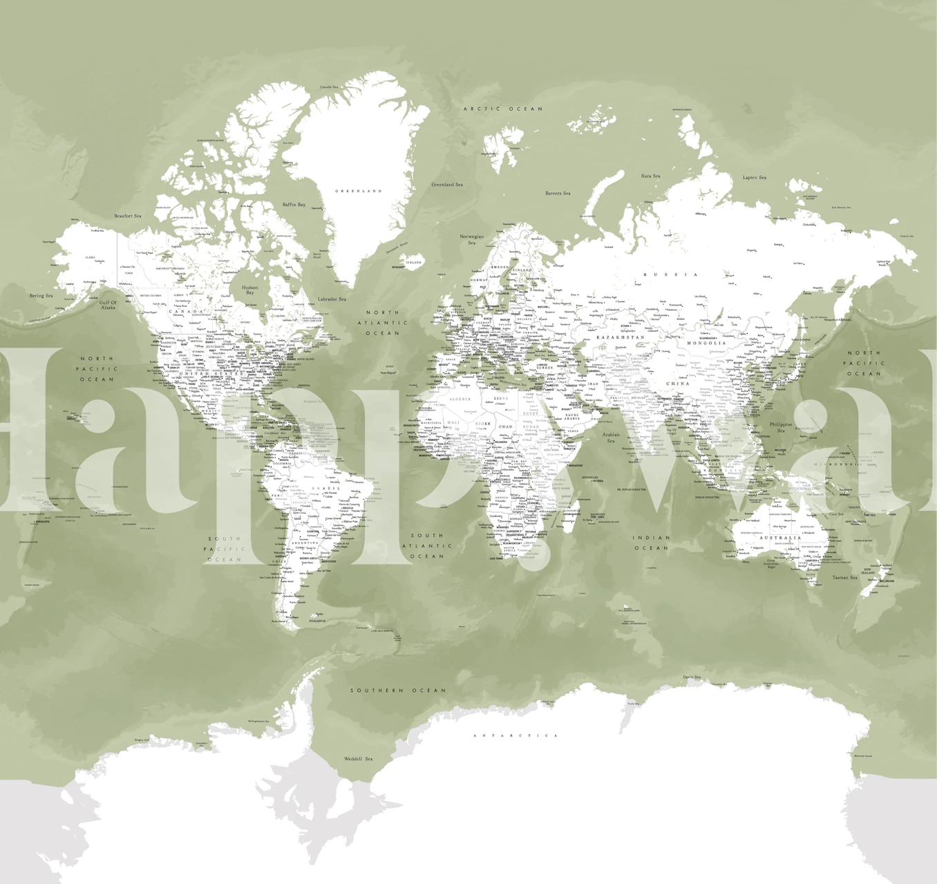 World Map Pacheco Antarctica papel tapiz en una habitación