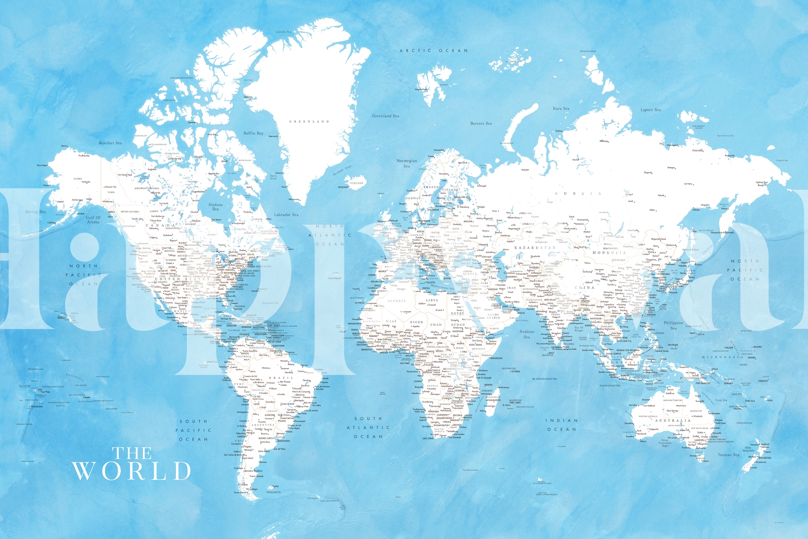 Detailed World Map Naolin Tapet Fototapet Happywall