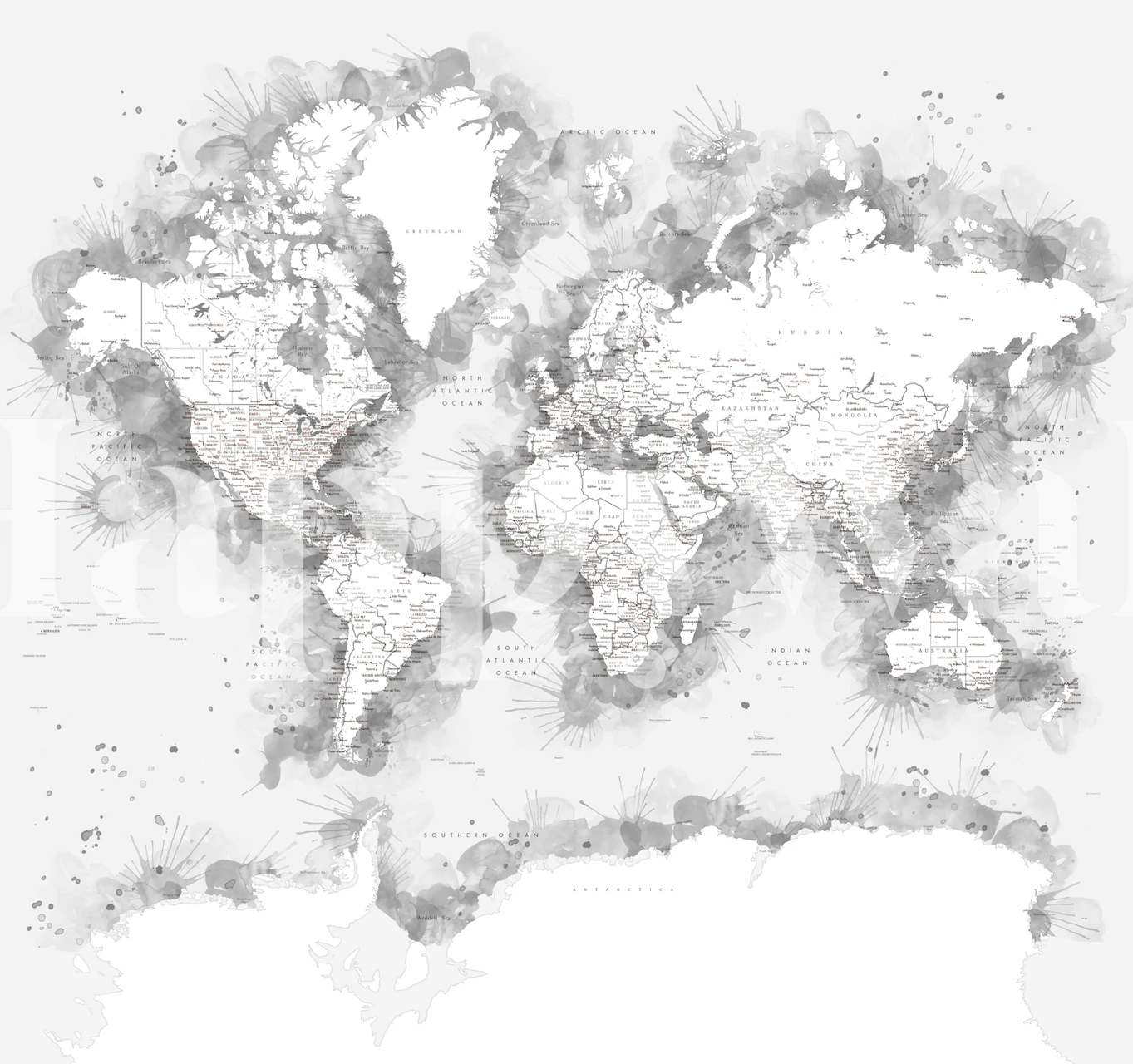 World Map Louiss Antarctica Tapete in einem Zimmer