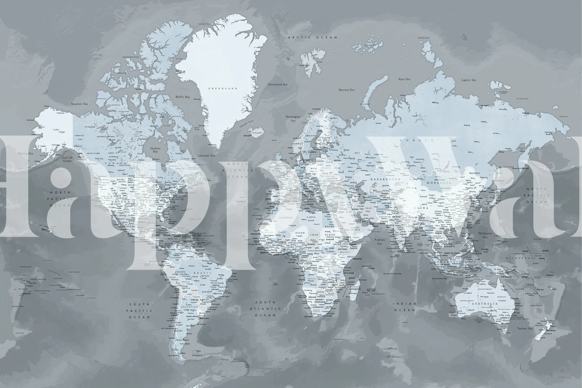 Grayscale detailed world map wall mural from happywall.com