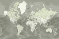 Detailed world map Faolan ταπετσαρία