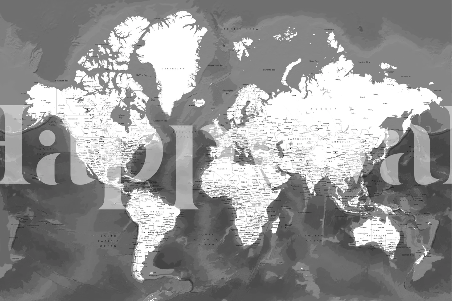 Grayscale Detailed World Map Olson Wall Mural