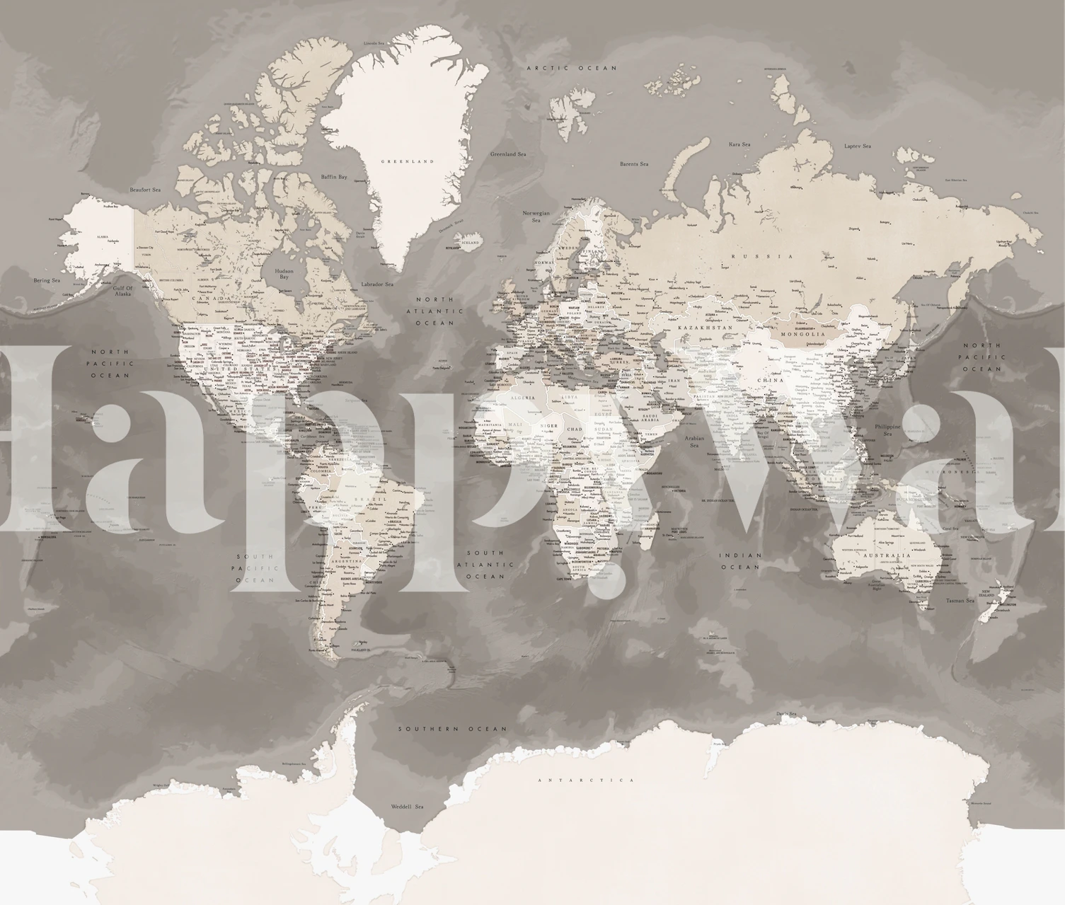 Detailed World Map Wall Mural in Monochrome