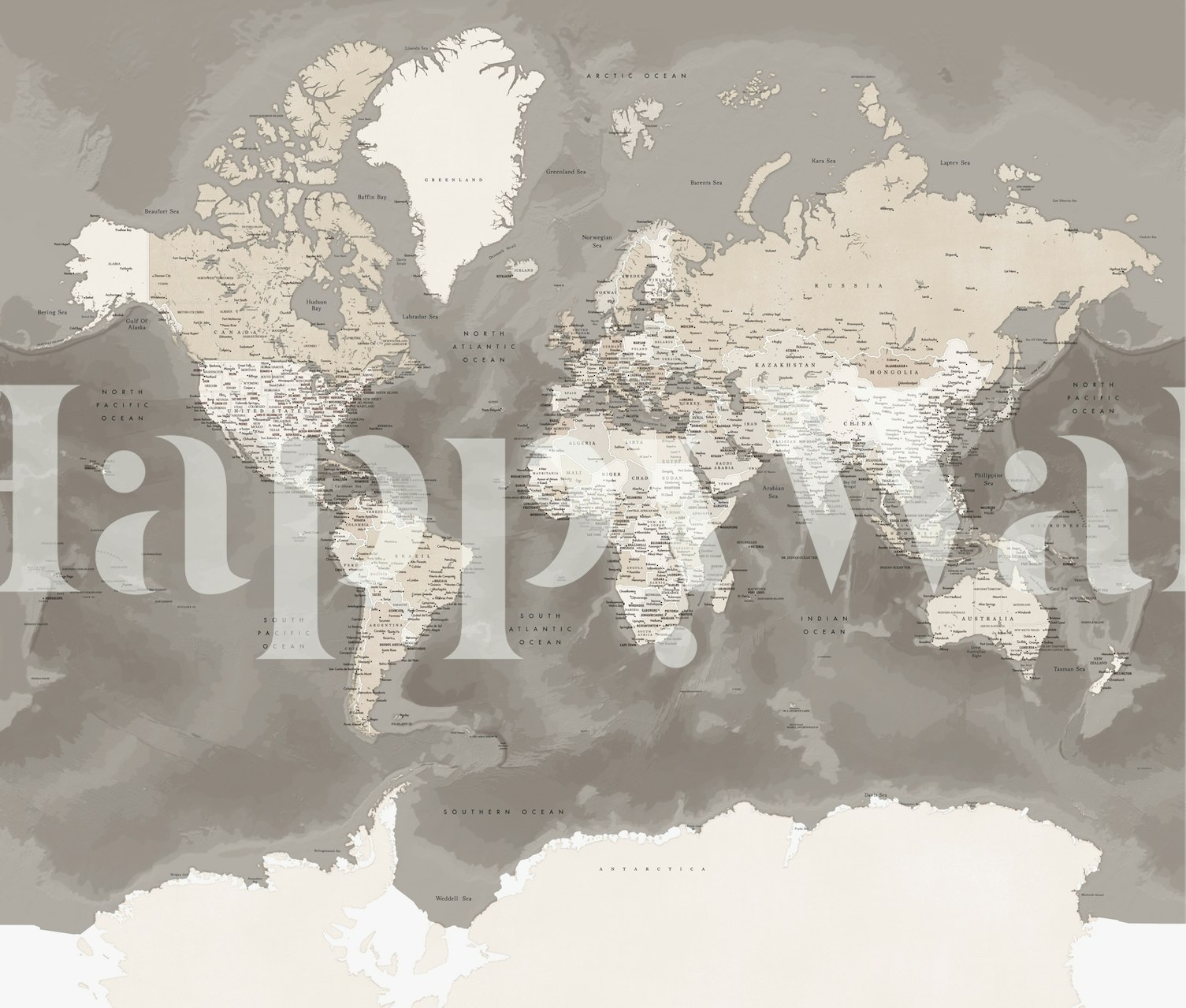 Detailed World Map Wall Mural in Monochrome