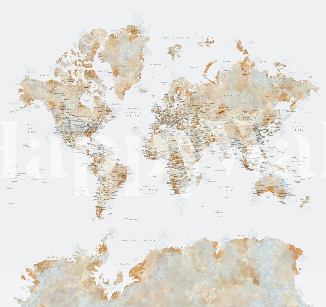 World Map Barossa Antarctica wallpaper in a room