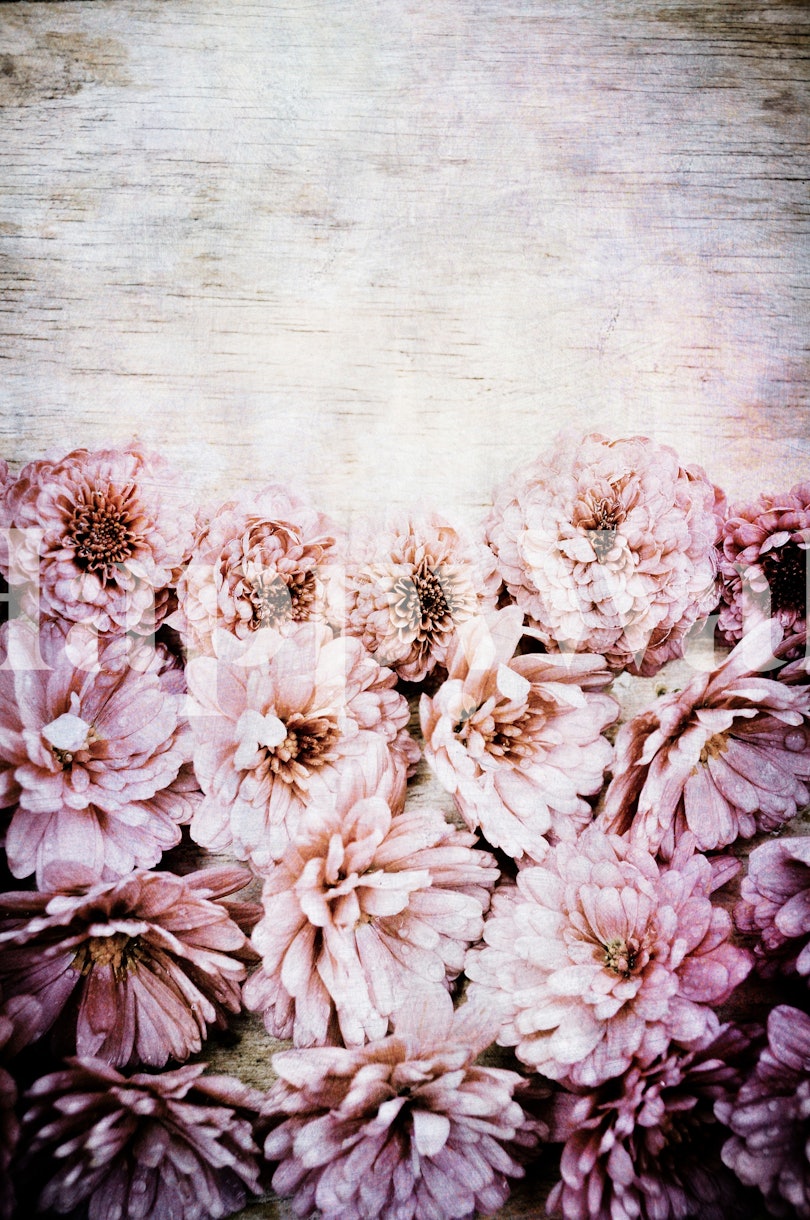 roze bloemen behang