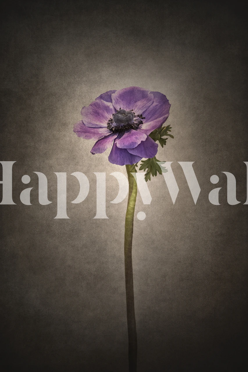 Anemone coronaria vintage wallpaper in a room