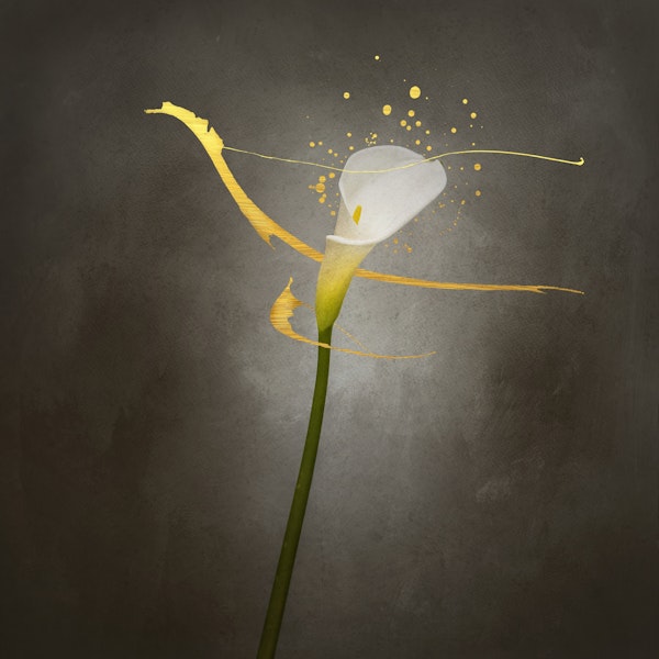 Calla No 2 vintage gold