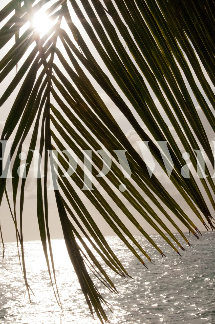 Tropical sunset wallpaper with palm leaves