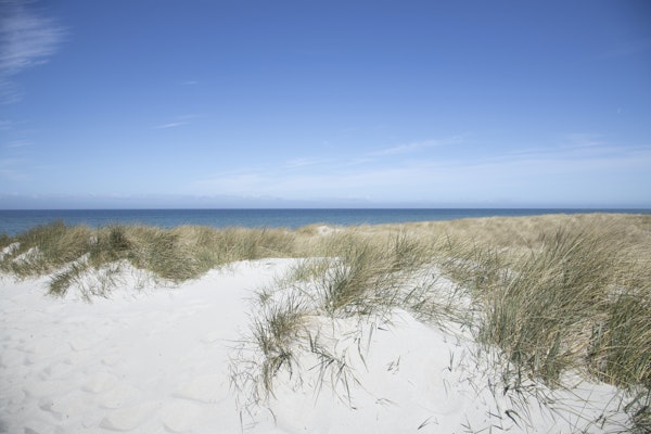 Baltic Sea Summer Beach