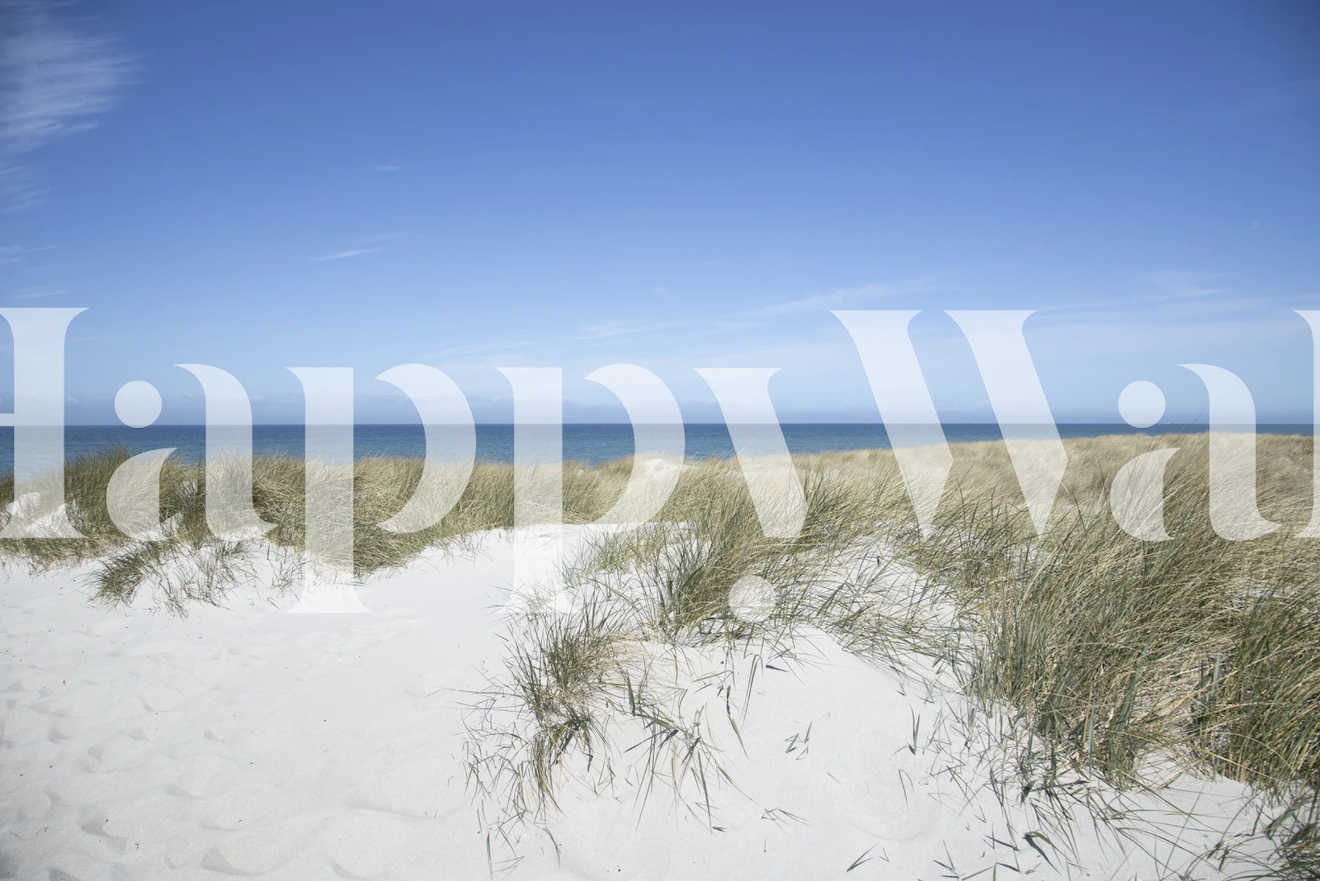 Baltic Sea Summer Beach Tapete in einem Raum