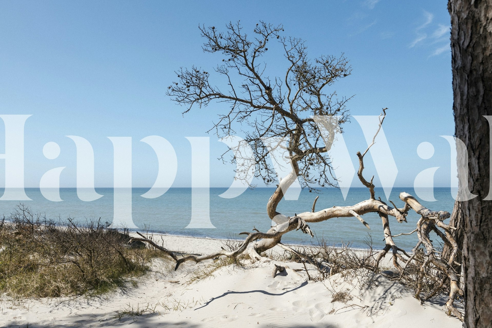 Baltic Sea view με ταπετσαρία δέντρο
