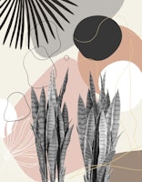 Snake Plant Fan Palm Finesse 2 tapety