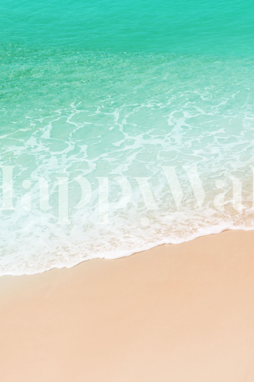 Caribbean ocean wallpaper in a room