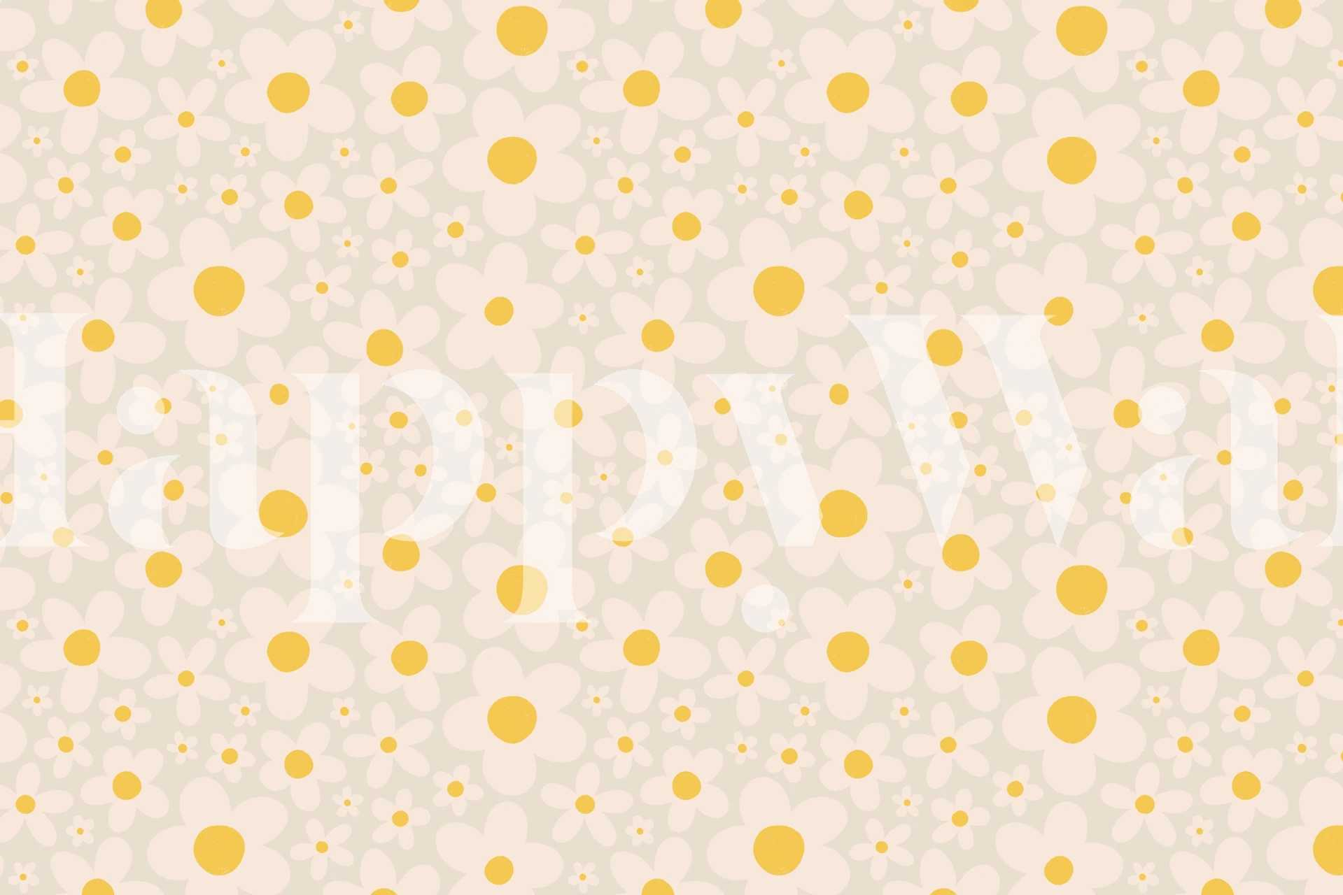 Image of Daisy Floral Wallpaper - Wall Mural