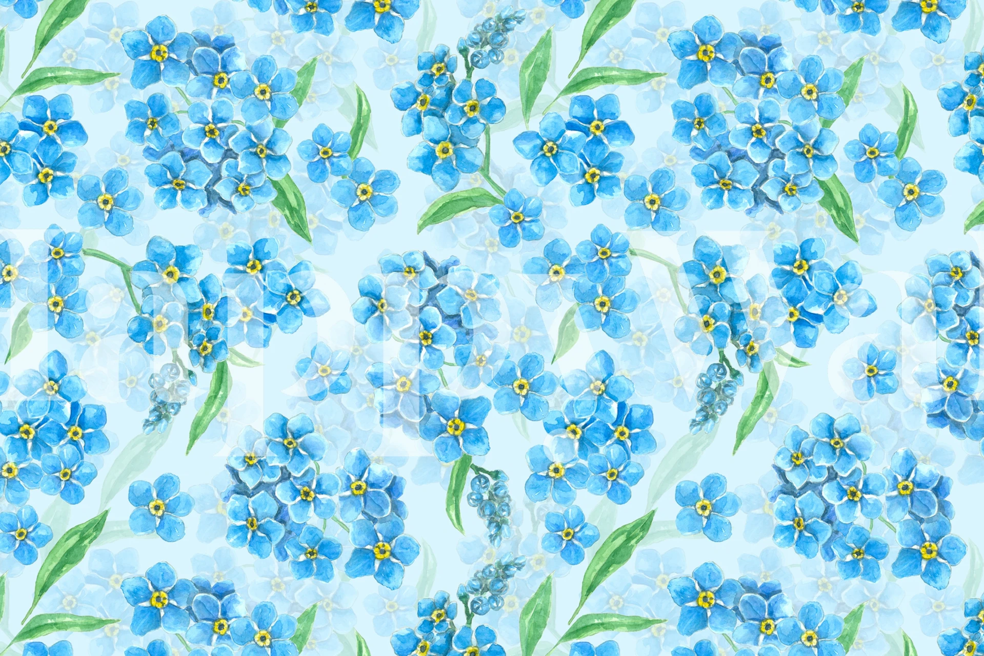 Forget me not flowers tapeta u sobi