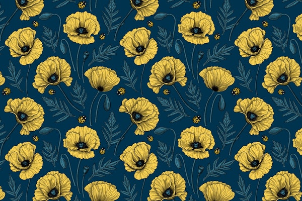 Yellow poppies and ladybugs