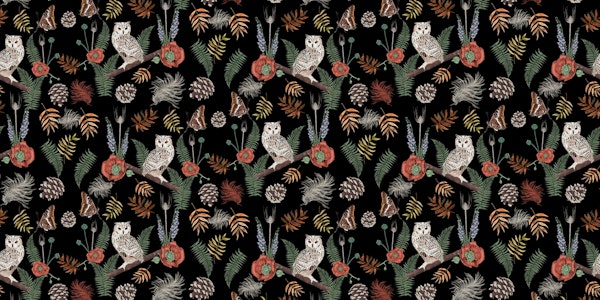 Owls in the Countryside