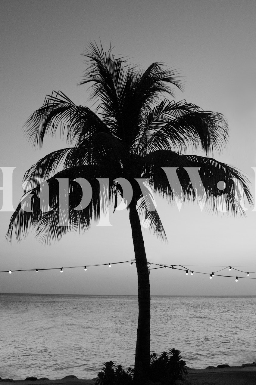 Vivid palm tree wallpaper in a room