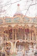 Carousel Snow Photography