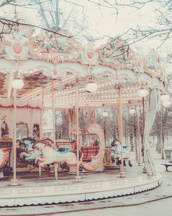 Paris Carousel III