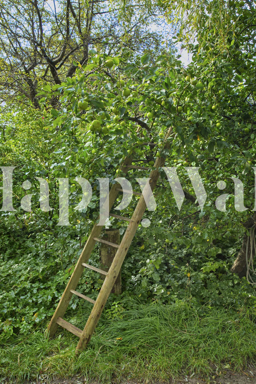 Wooden ladder against green foliage in rustic farmhouse wallpaper