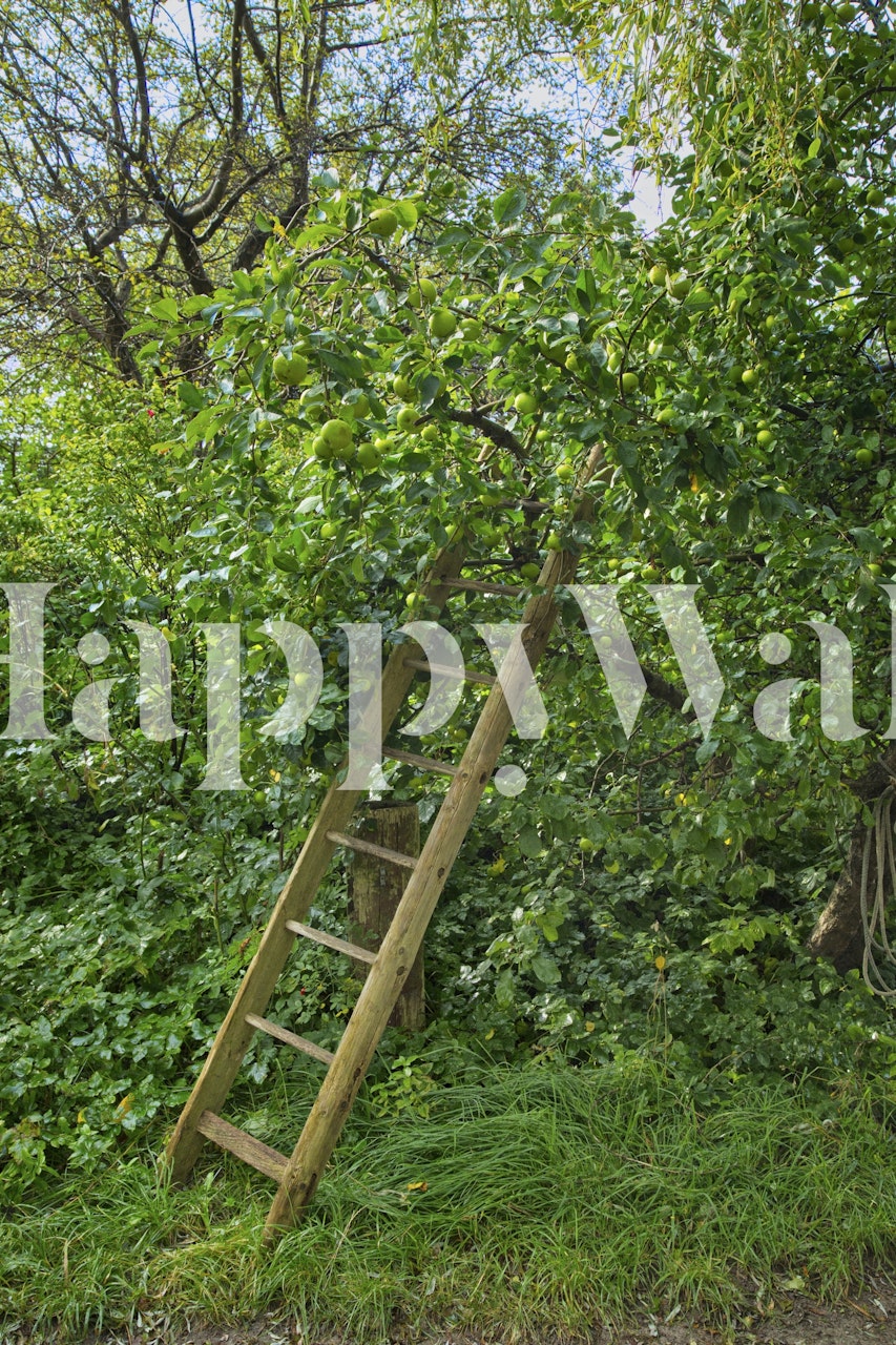 Wooden ladder against green foliage in rustic farmhouse wallpaper