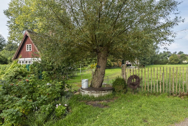 Country Garden With Old Fence