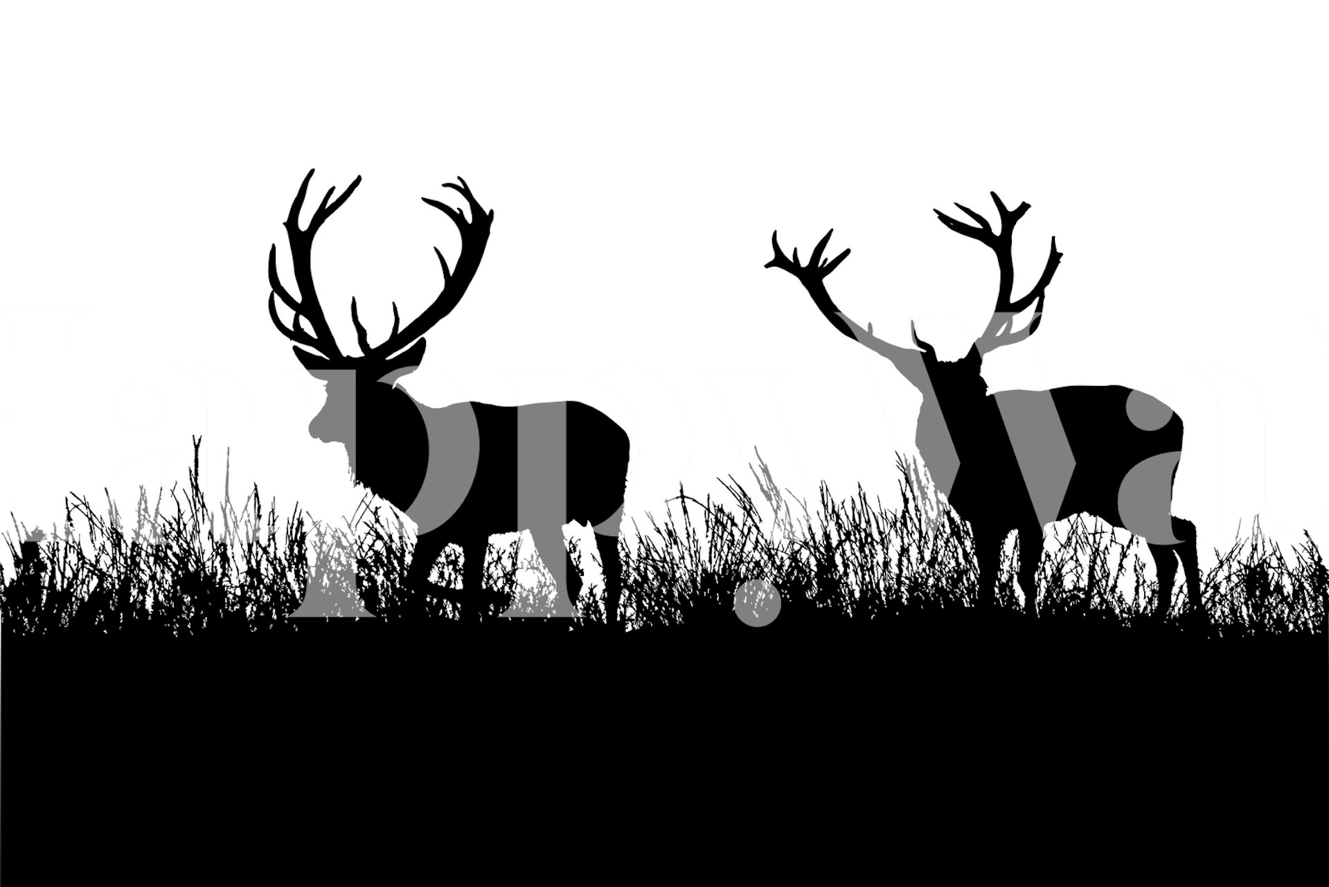 Papel de parede Black And White Deer em um quarto