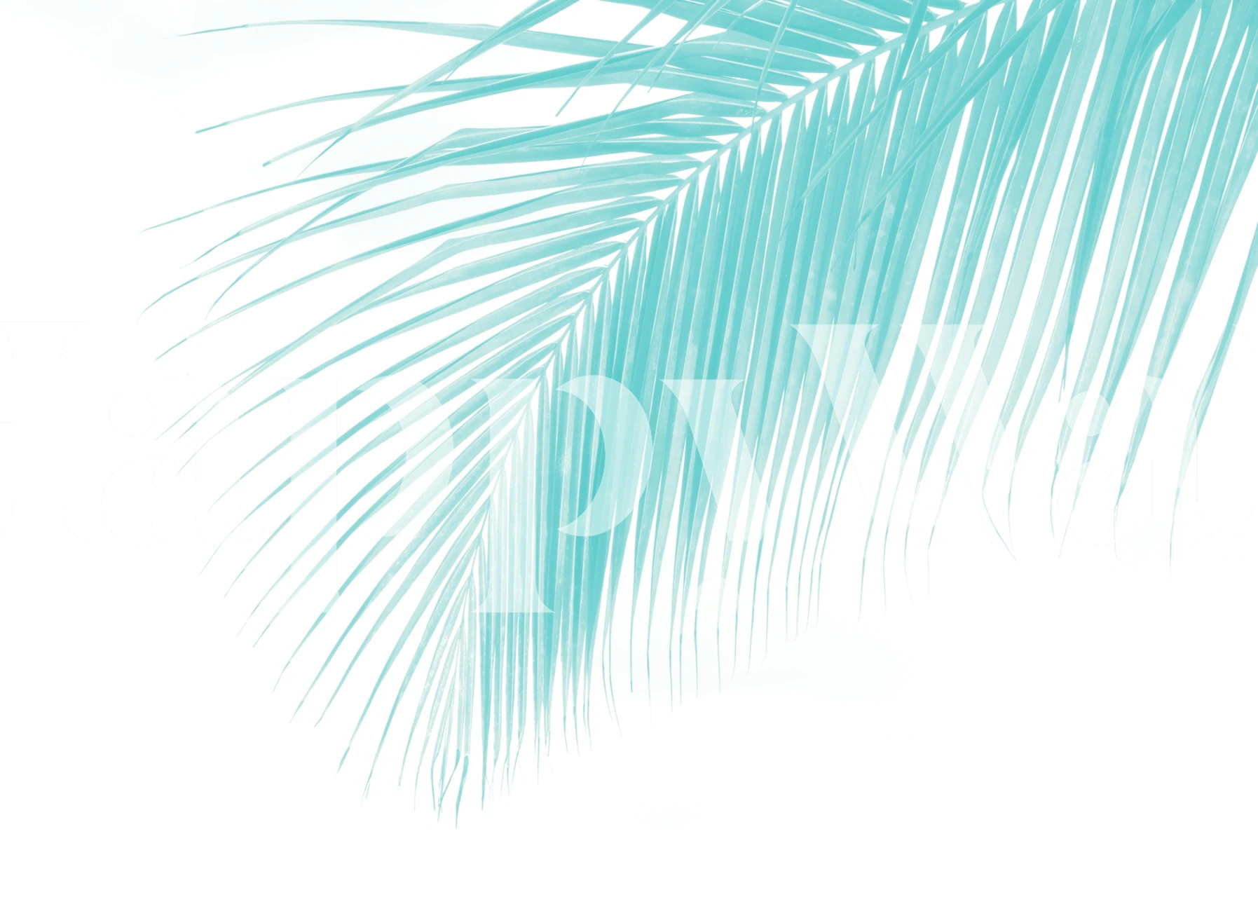 Tropical Palm Leaf Dream 1 w pokoju