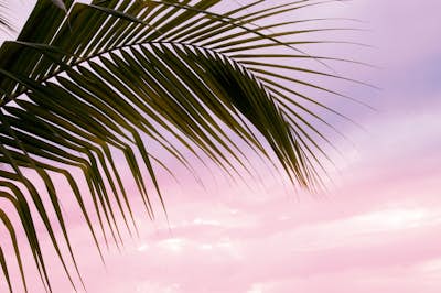 Τοιχογραφία