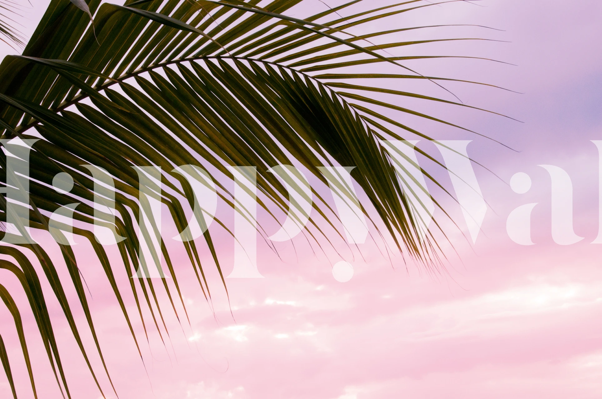 Papel pintado Palm Leaf Dream en una habitación