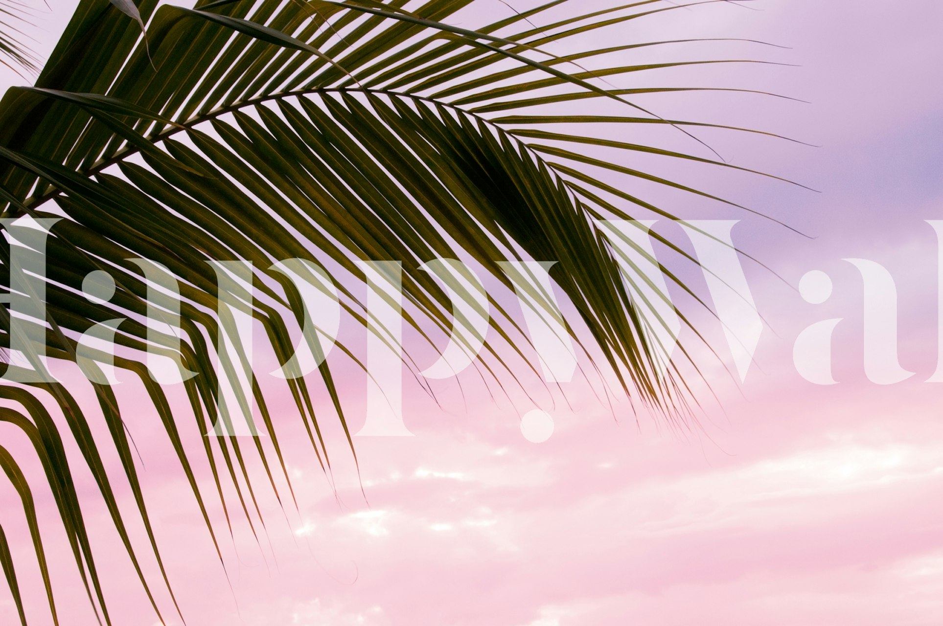 Palm Leaf Dream wallpaper in a room