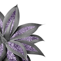 Agave Finesse Glitter Glam 11 papiers peint