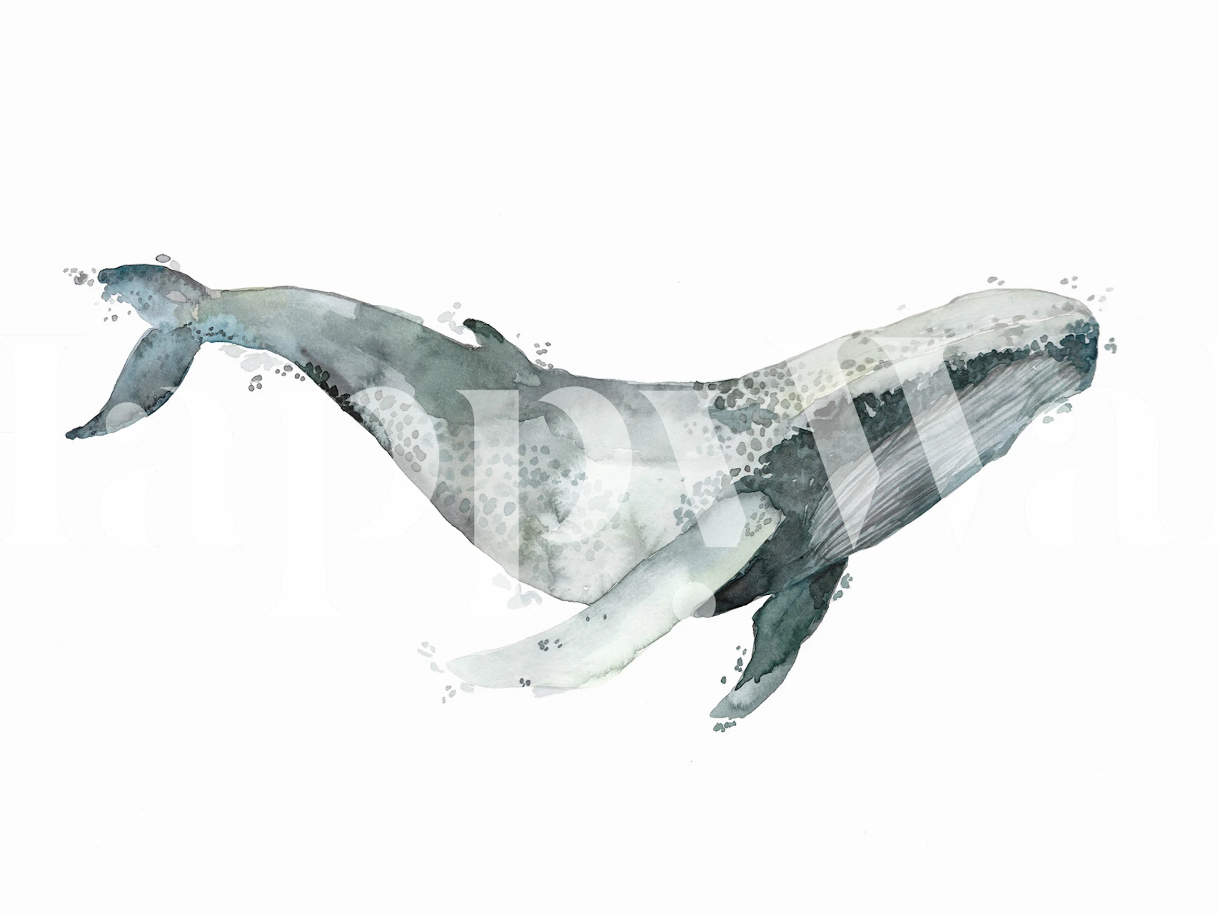 Watercolor humpback whale illustration in shades of blue and gray wallpaper