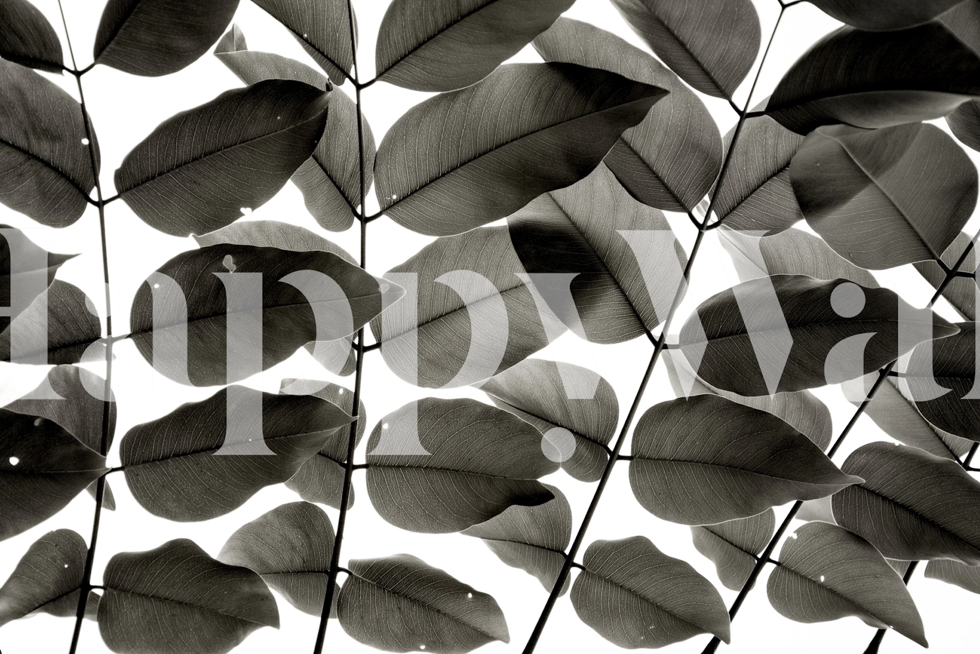 Branches and Leaves tapet i et rom