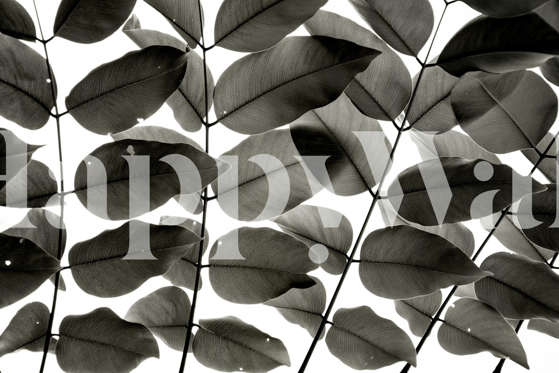 Branches and Leaves tapet i et rom