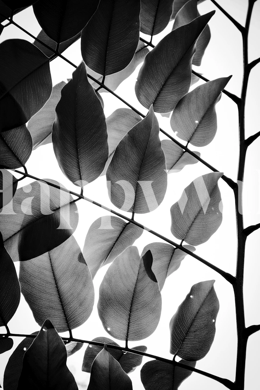 Design av tapet med Branches and Leaves II