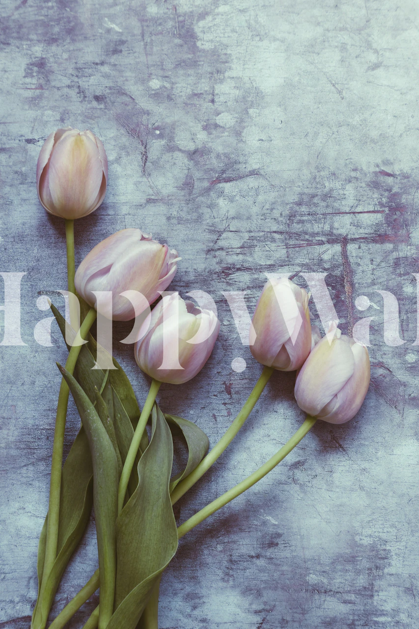 Delicate tulips wallpaper displayed in a room
